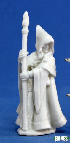 Anirion, Wood Elf Wizard Model Image