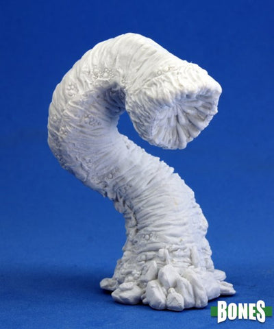 Great Worm Model Image