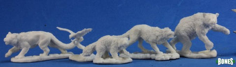 Companion Animals Model Image