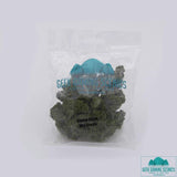 Mid Green Clump Foliage