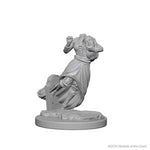 Ghost & Banshee : D&D Nolzur's Marvelous Unpainted Miniatures
