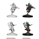 Air Genasi Female Rogue : D&D Nolzur's Marvelous Unpainted Miniatures